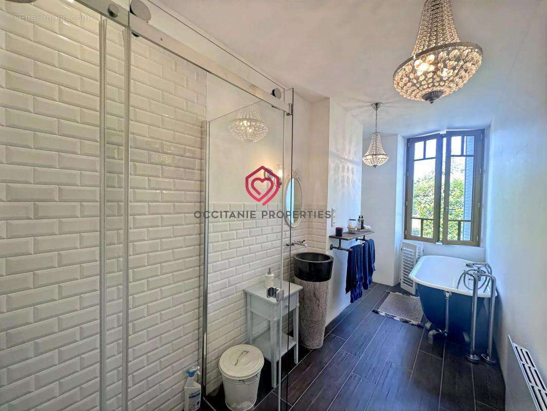 Magnifique maison de ville de caractère au cœur de Miélan,  dépendances et 3 000 m² de terrains - photo 33