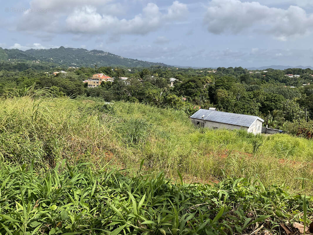 Terrain à LE ROBERT
