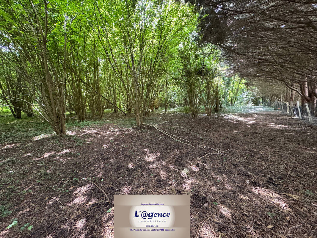 Terrain à BEUZEVILLE