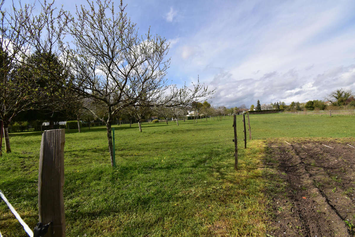 DSC_0002 - Terrain à RUELLE-SUR-TOUVRE