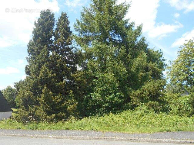 Terrain à ROSTRENEN