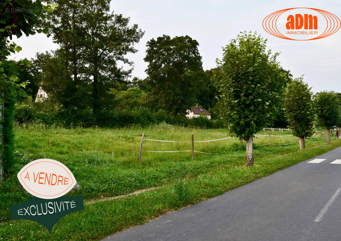 Terrain à VILLENEUVE-SUR-BELLOT