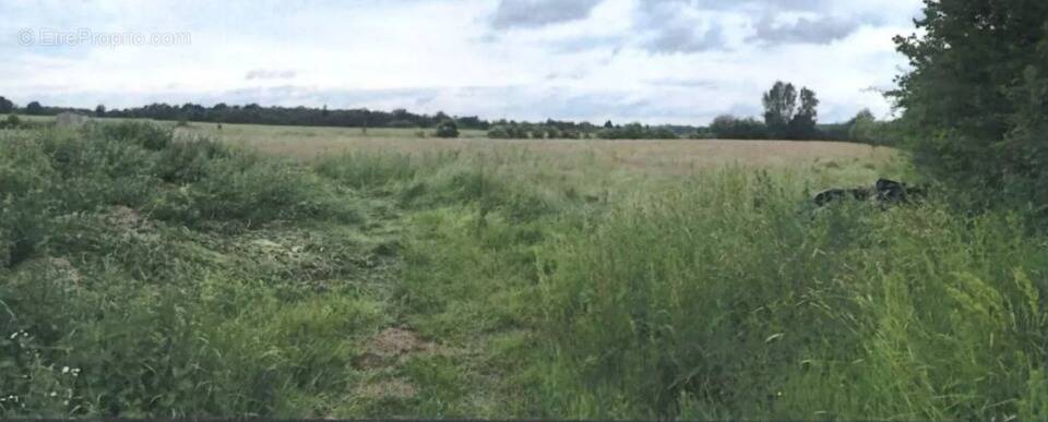 Terrain à SAINT-BENOIT-DES-OMBRES
