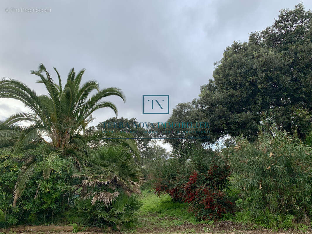 Villa plain-pied au coeur du Golfe du Valinco - photo 17