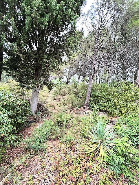 A vendre villa sur 5000m2 - photo 17