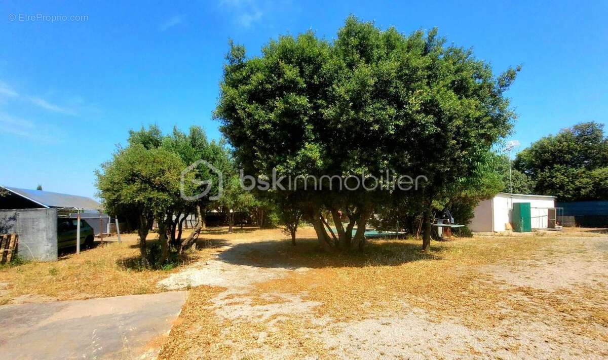 Maison à BALARUC-LE-VIEUX
