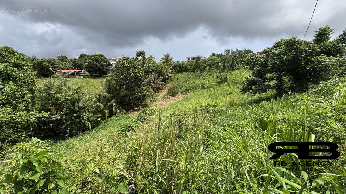 Terrain à RIVIERE-SALEE