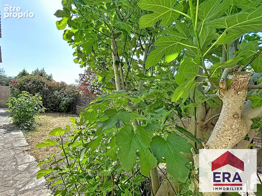 Maison 165m² à thézan-lès-béziers - photo 15