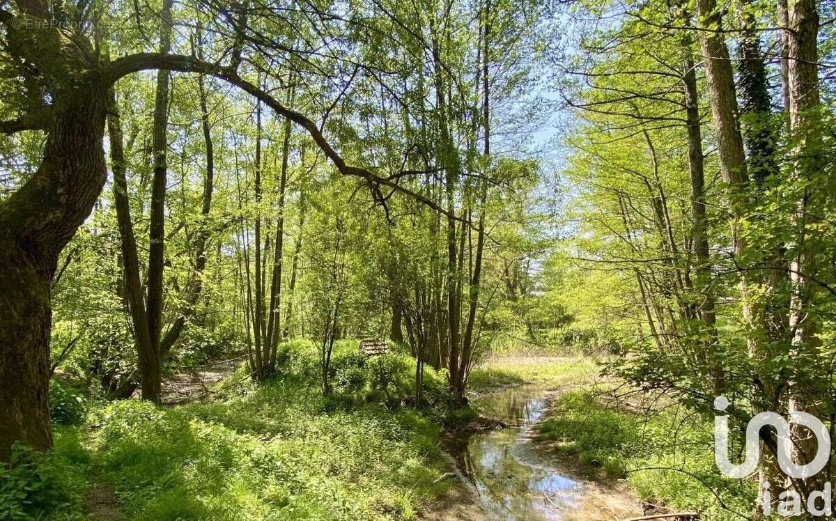 Photo 4 - Maison à LA FERTE-SOUS-JOUARRE