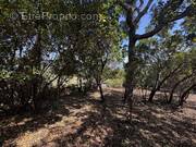 Terrain à FIGARI