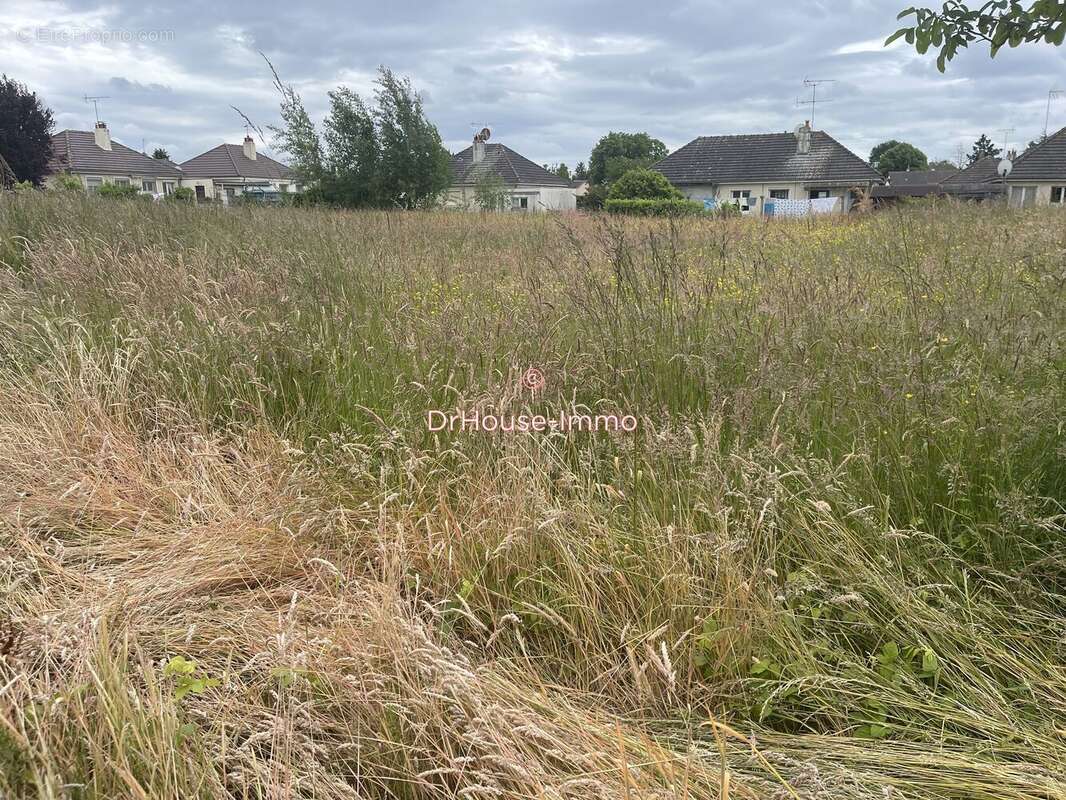 Terrain à LORRIS
