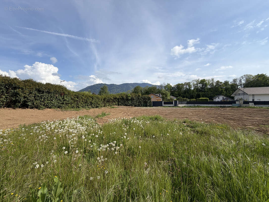 Terrain à ARMOY