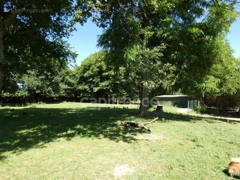 Maison à SAINT-GERMAIN-DU-BOIS