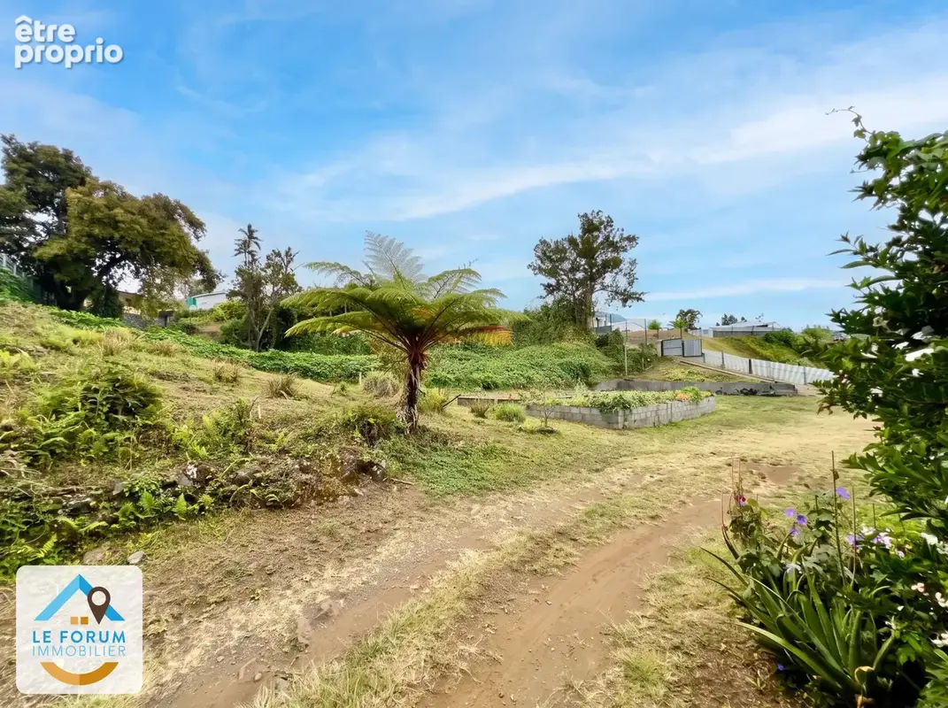 Tampon 97430 - parcelle prete à batir - secteur recherche - photo 2
