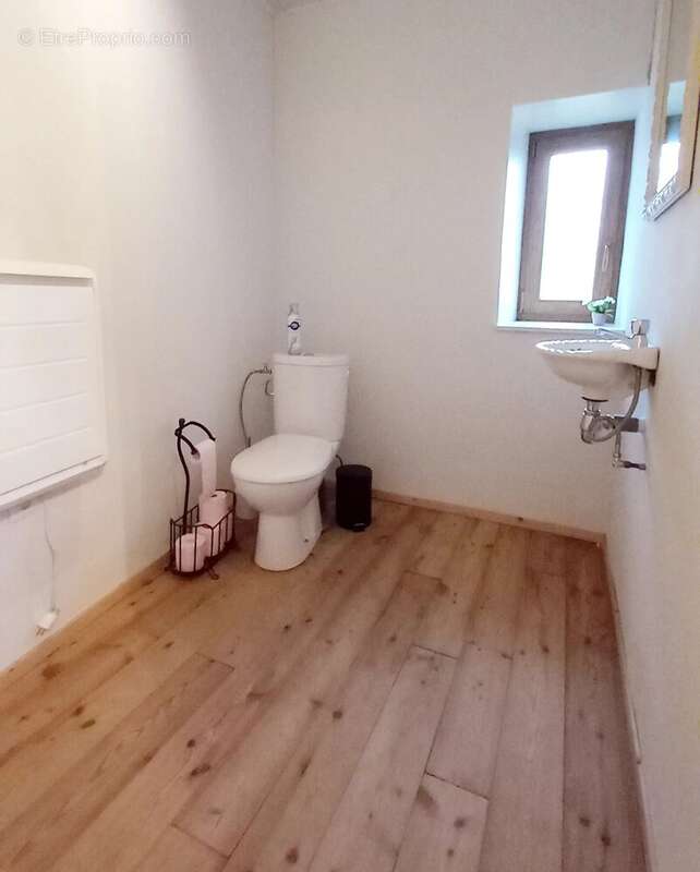 Maison à SAINT-BASLEMONT