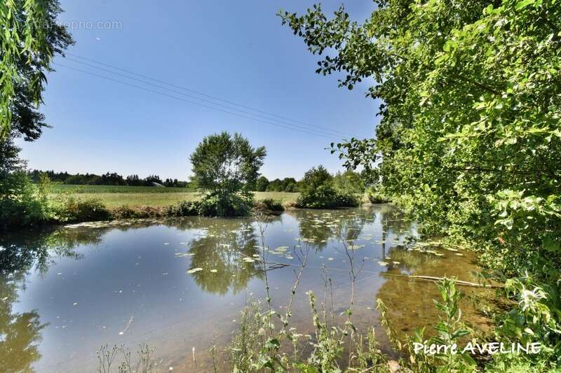Maison à vendre 3 pièces DANGEAU (28) - photo 10