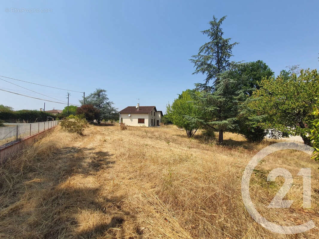 Terrain 760 m² à Montans  - photo 11