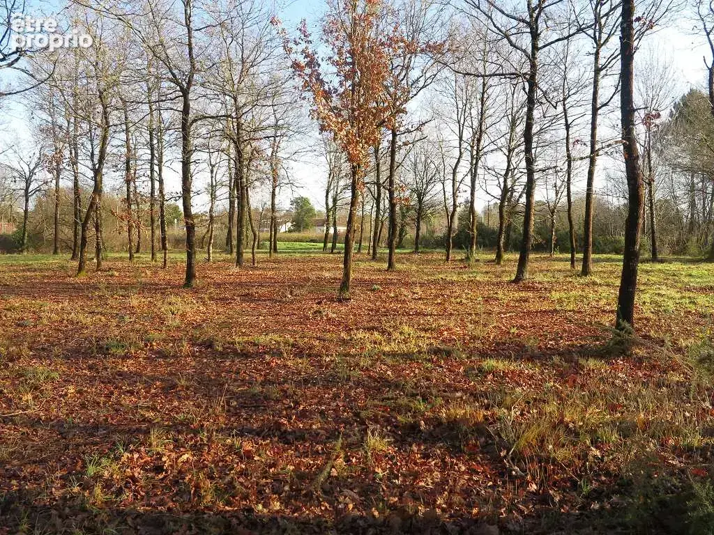 Terrain de 6155 m² dont 1600 m² de constructible - photo 14