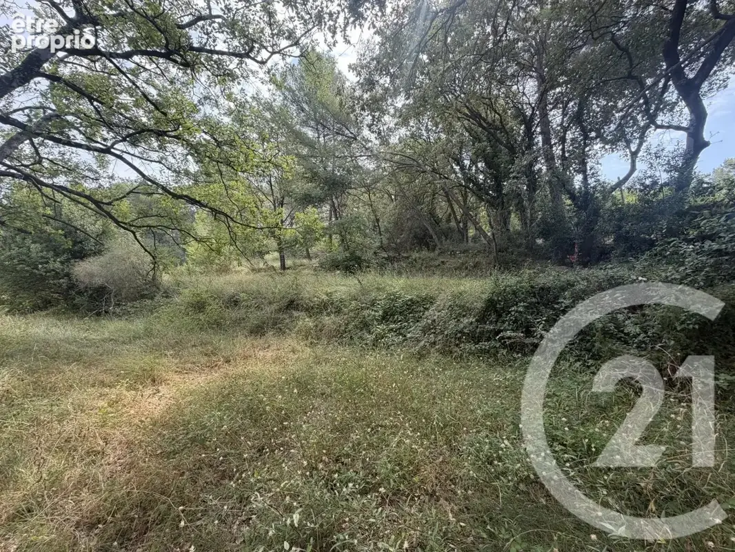 Terrain 2250 m² à Mougins  - photo 5
