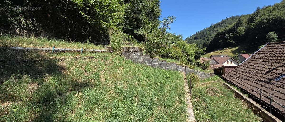 Wackenbach, maison de village, 92 m2 environ, 3.90 ares, espaces verts à l'arrière - photo 20
