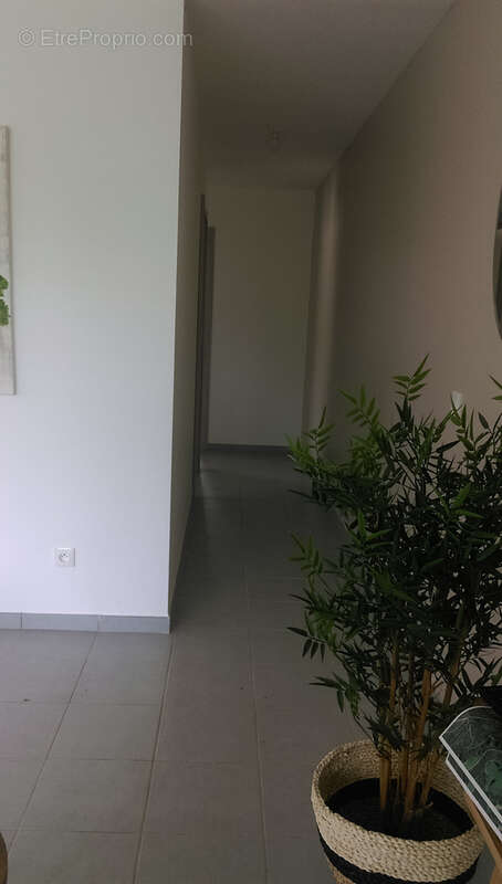 Appartement à SAINT-JOSEPH
