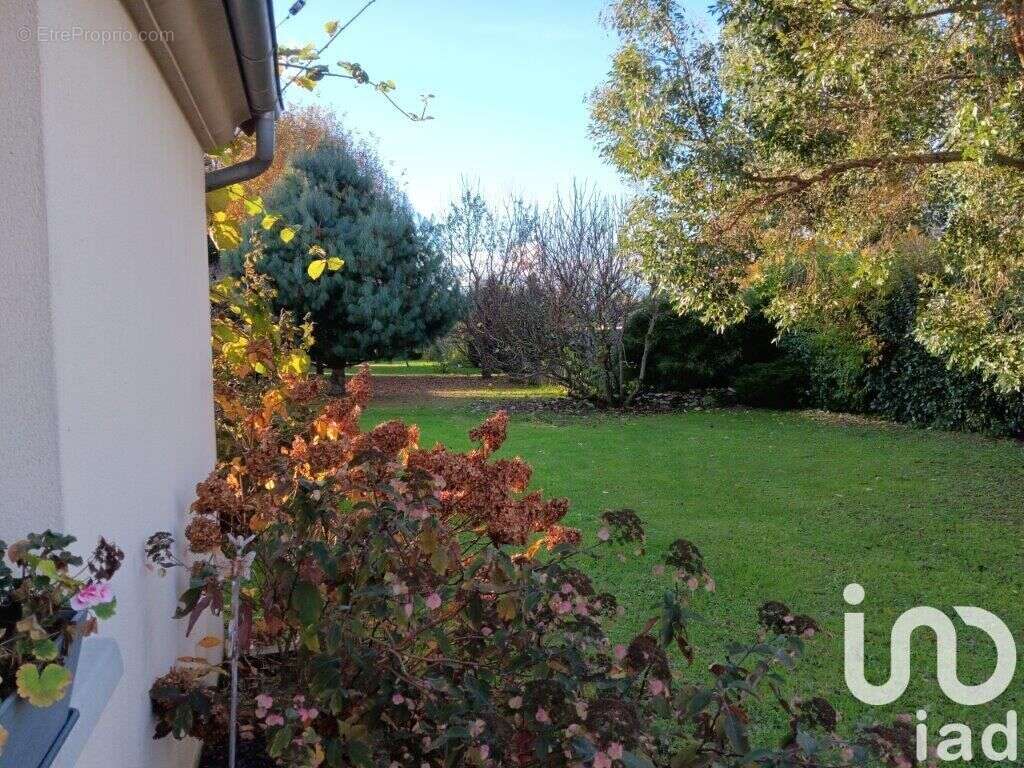 Photo 4 - Maison à BOURRON-MARLOTTE