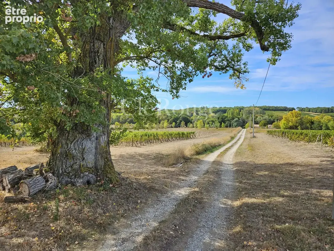 Proche de Pellegrue – Exceptionnel havre de créativité avec gîte et vues panoramiques - photo 35