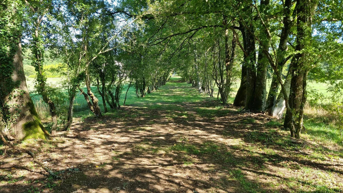 20250919_153943 - Maison à ABJAT-SUR-BANDIAT