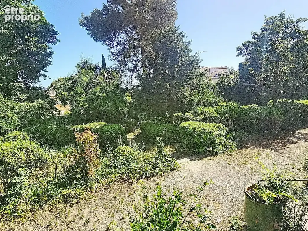 Domaine viticole - photo 4