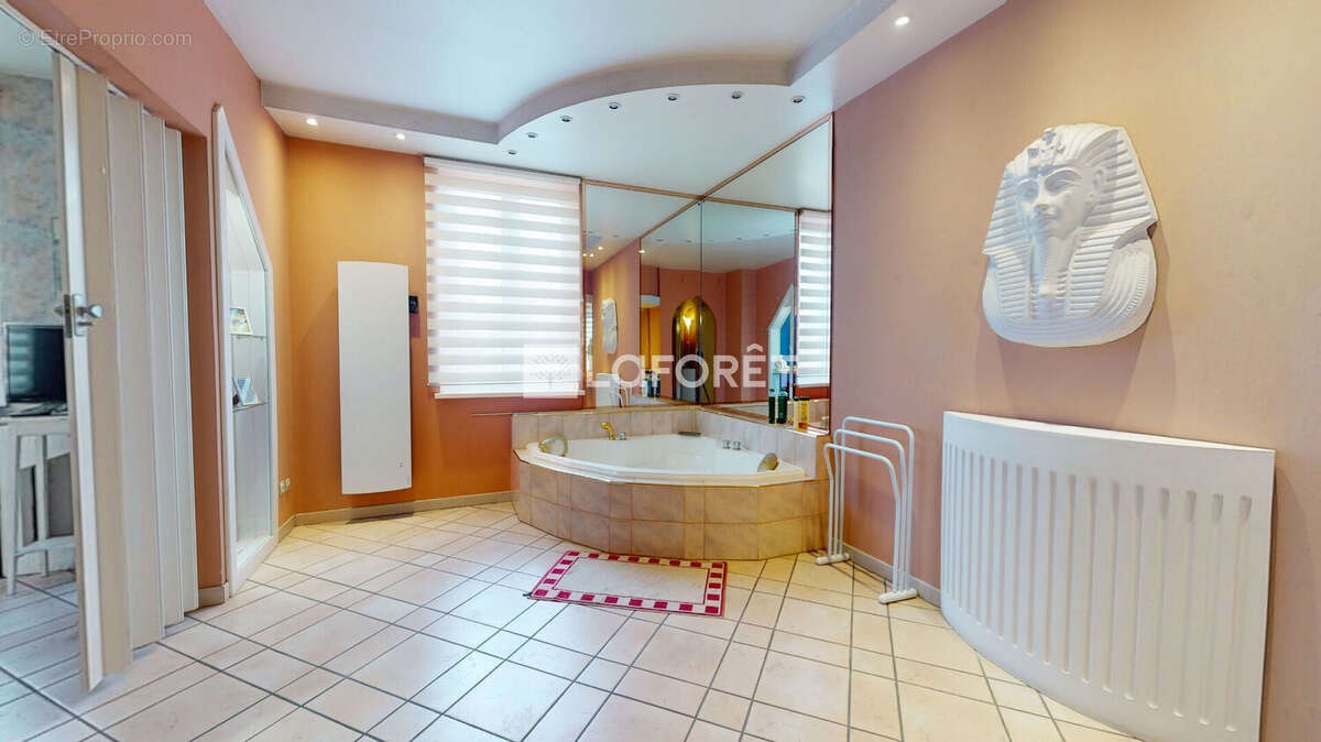Superbe 3/4 pièces de 135 m² type loft avec jardin de 408 m² et grange aménageable Proche centre Schiltigheim - photo 10