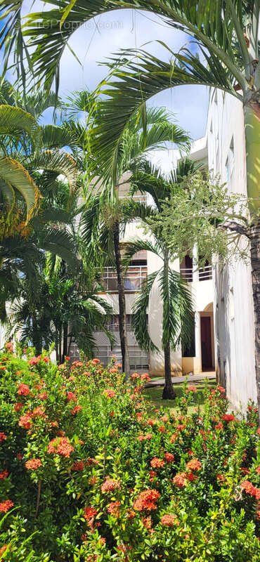 Appartement à LES ABYMES