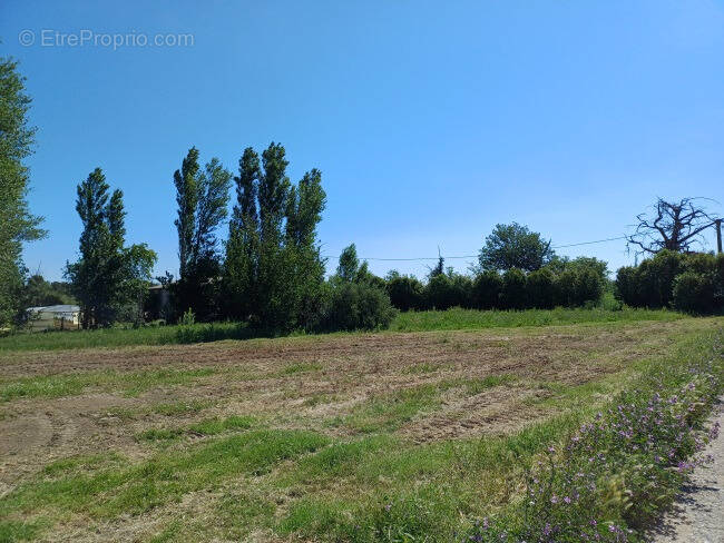 Terrain à PONTEILLA