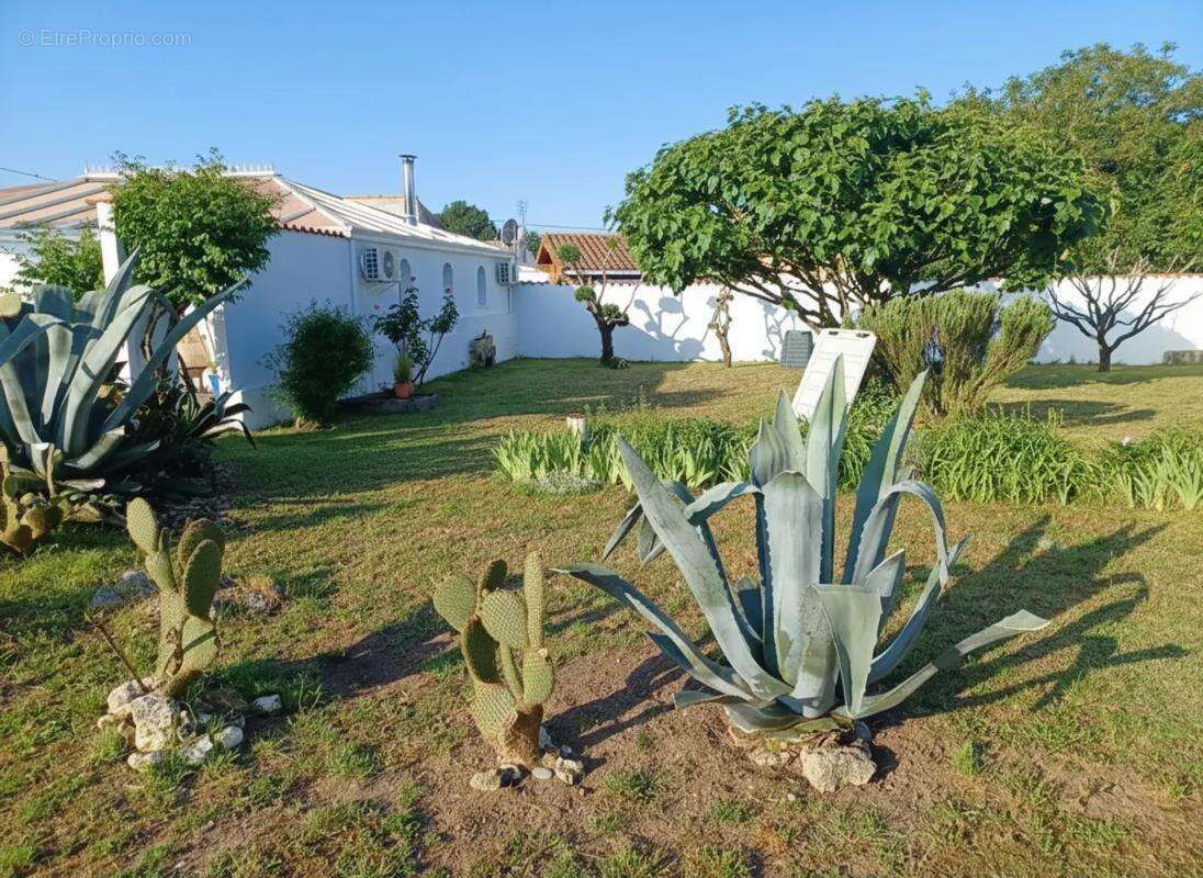 Maison à SAINT-JUST-LUZAC