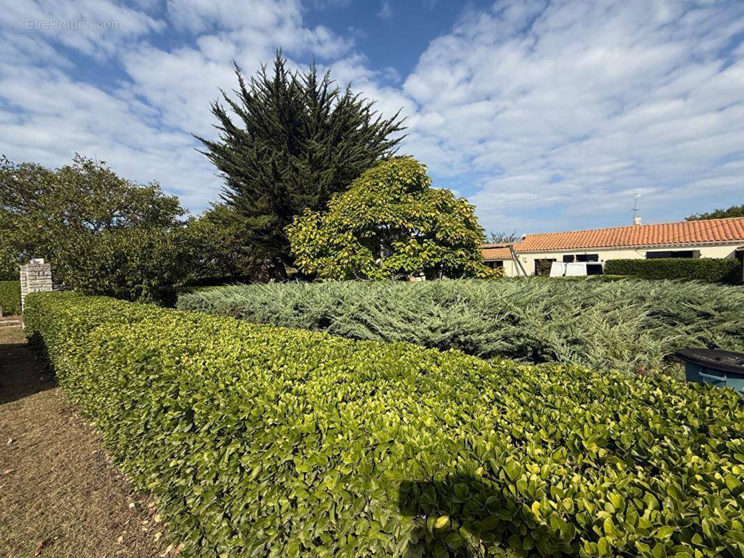 Maison à SAINT-GEORGES-D&#039;OLERON