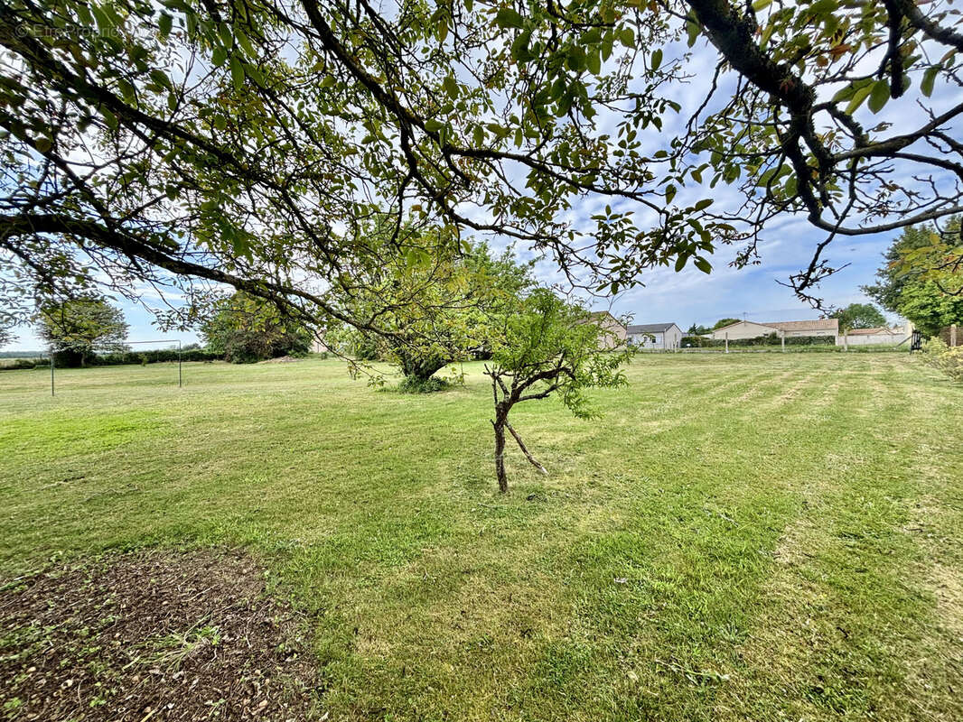 Terrain constructible de 1 494m2 - photo 2