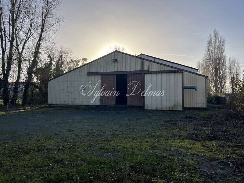 Commerce à NAZELLES-NEGRON