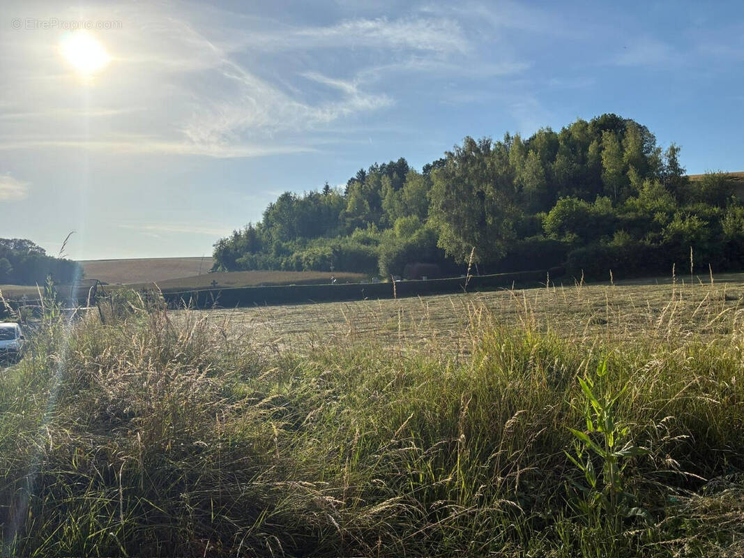 Terrain à REMAUCOURT