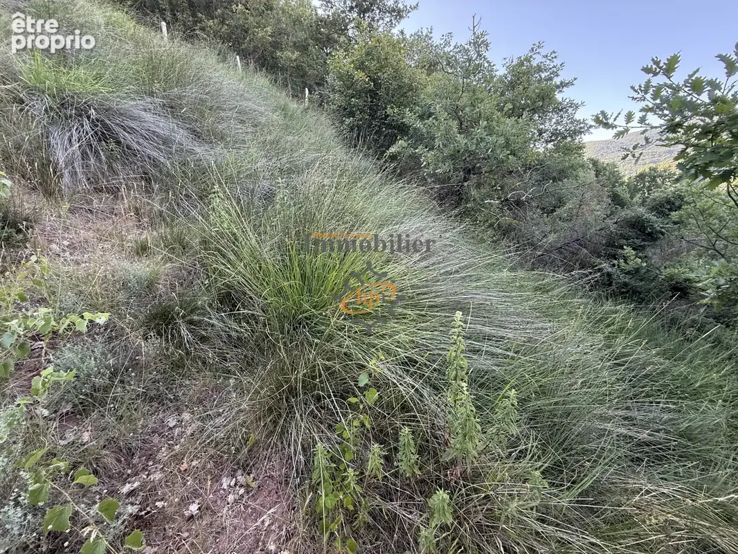 Vente remise avec  2,45 hectares de terrains Versols-et-Lapeyre - photo 13