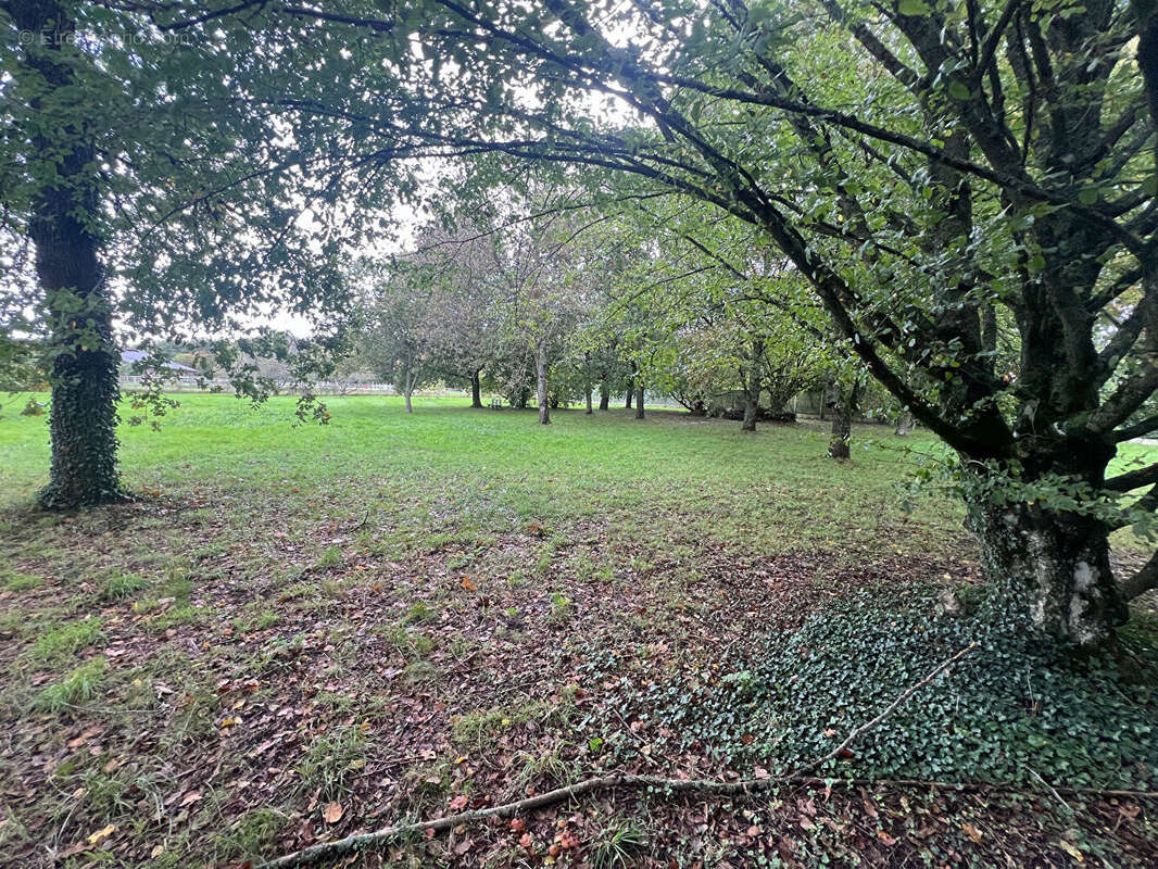 Terrain à GROSROUVRE