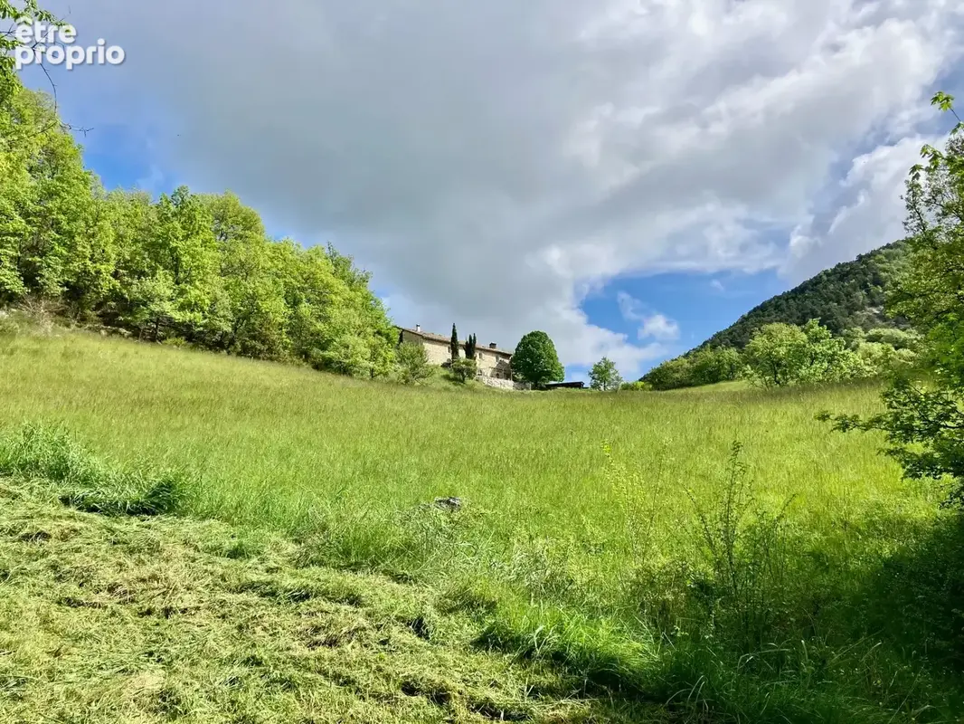 Dpt Alpes de Haute Provence (04), à vendre Proche ENTREVAUX Superbe terrain de plus d'un hectare avec vue montagnes - photo 8