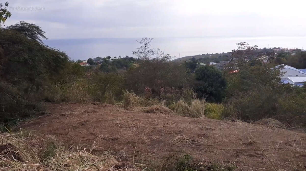 Terrain à VIEUX-HABITANTS
