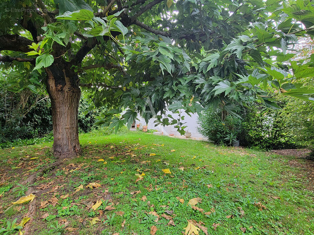 Maison à LE BOUSCAT