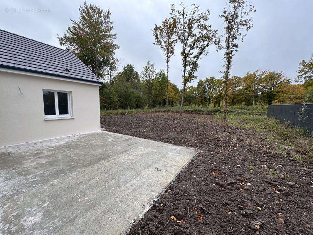 Maison à PRUNIERS-EN-SOLOGNE