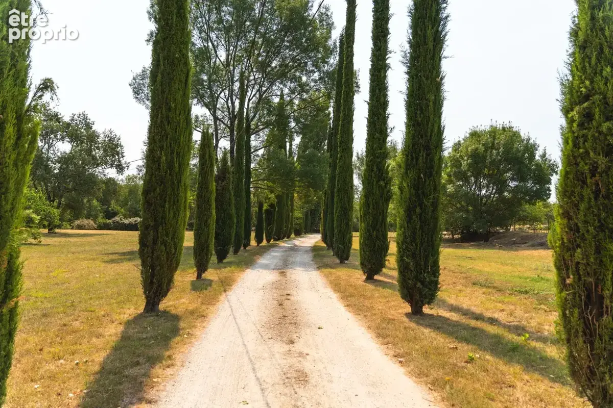 Domaine d'exception - Mas rénové et Moulin rénové du XVIIIe   6 chambres - Entre Montpellier et Nîmes - photo 12