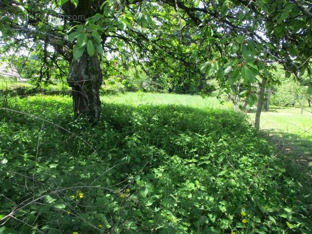 Maison à SAINT-YRIEIX-LA-PERCHE