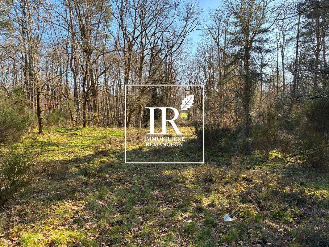 Propriete sur 16ha neuvy sur barangeon - photo 15