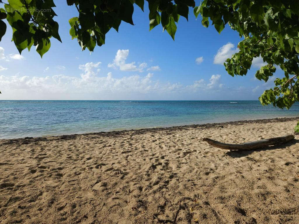 Maison à SAINT-FRANCOIS