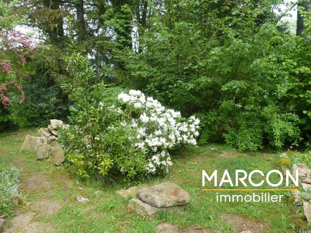 Maison à SAINT-PIERRE-BELLEVUE