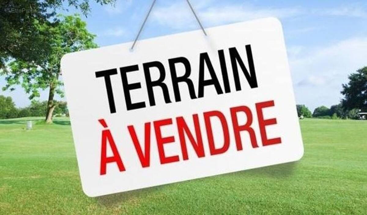 Terrain à RUE