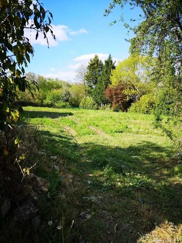Maison à LEGUILLAC-DE-L&#039;AUCHE